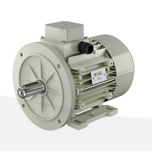 MOTOVARIO SELF POWER 自启动同步电机TP-SL/TBP-SL