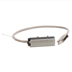 Allen‑Bradley罗克韦尔模拟电缆Connection产品1492-ACABLE025TB