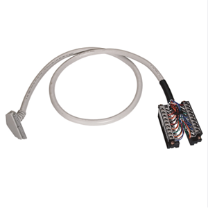 Allen‑Bradley罗克韦尔模拟电缆Connection产品1492-CAB010D69